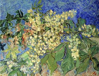 Vincent Van Gogh : Blossoming Chestnut Branches